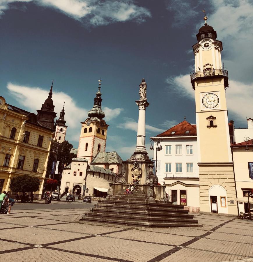 Bl Luxury Apartment, 24Hr Self Check-In, Free Private Garage Parking, Panoramic Views From Balcony, 5 Minute Walk To City Center Banská Bystrica Eksteriør bilde